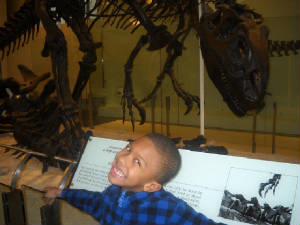 anthonymichael_onsetof_howtotrainyourdragon.jpg