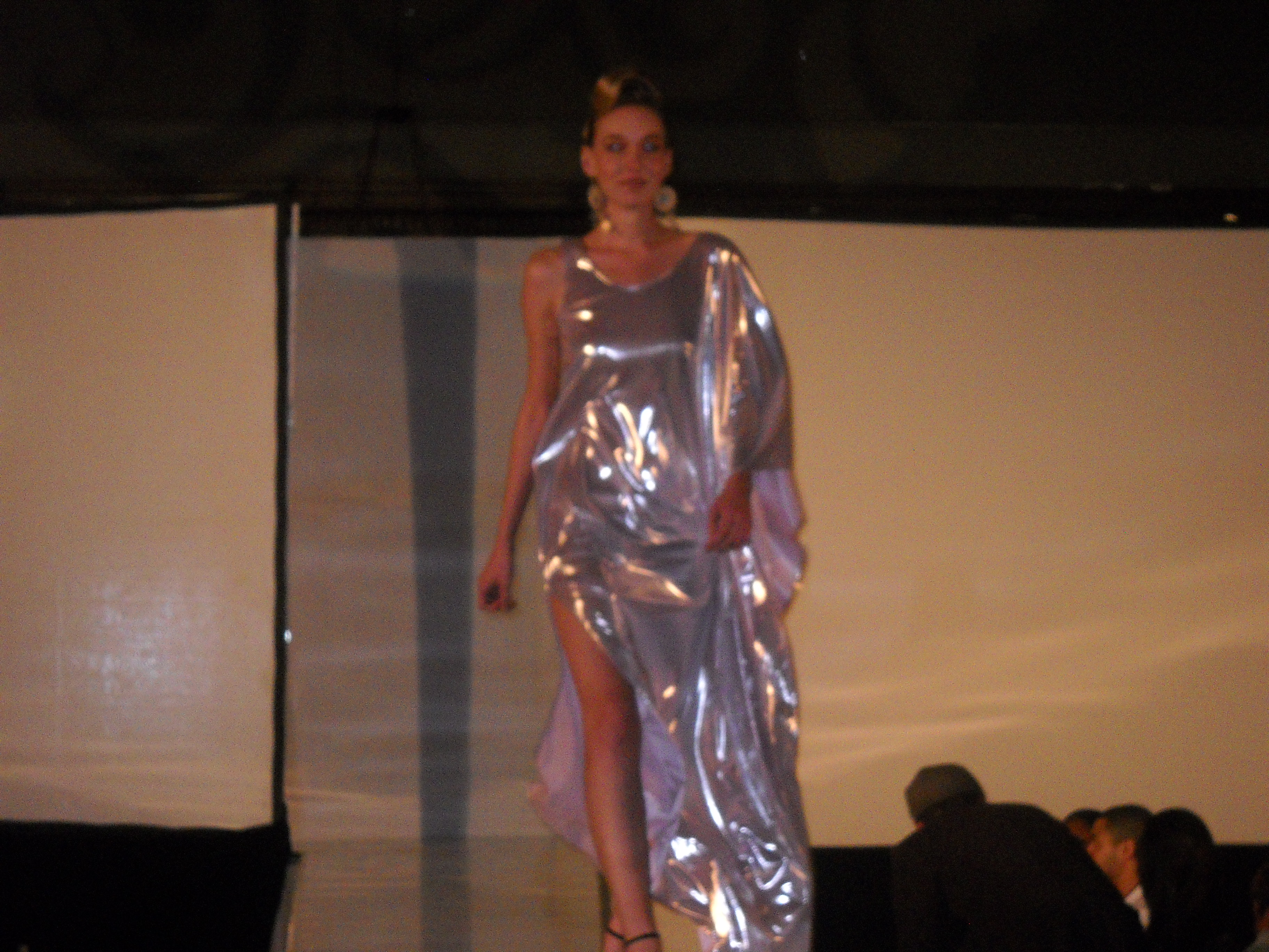 WomenofVirtueFashionShow_Feb17_2011.JPG